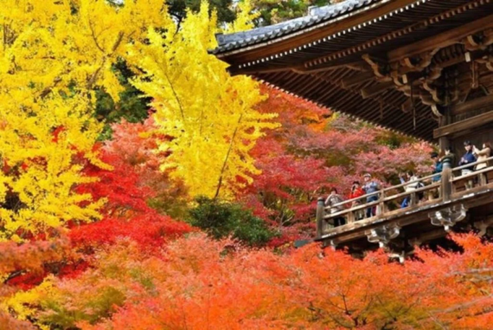 (Photo provided by Shoshazan Engyoji Temple) 