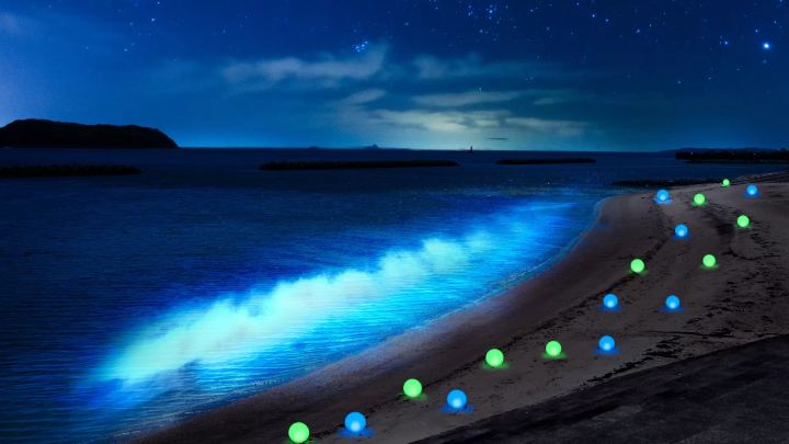 [2023年11月23日星期四至2023年11月25日星期六在吉良屏风墙（爱知县西尾市）举行]西尾市70周年纪念项目吉良屏风墙投影映射