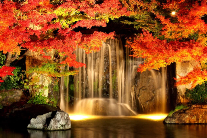 照片提供：“姬路城西宅邸遗址花园好古园” 