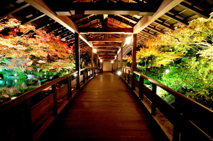 照片提供：“姬路城西宅邸遗址花园好古园” 