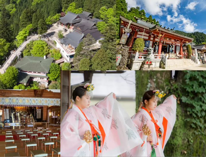 Special Experience: 10 Recommendations in Isehara/Oyama