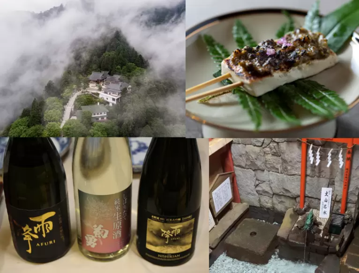 Special Experience: 10 Recommendations in Isehara/Oyama