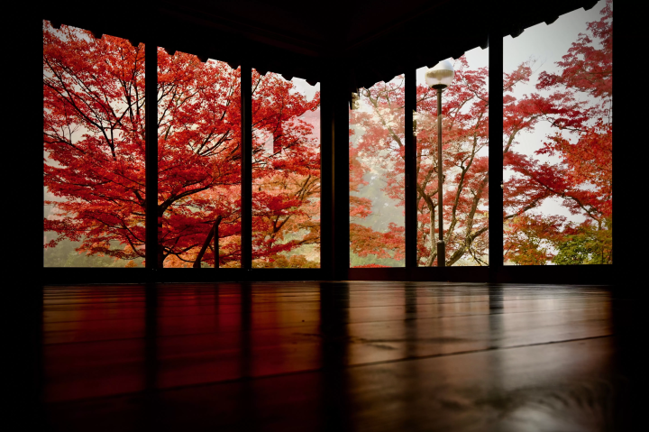 [90 minutes from Tokyo] From classics to hidden gems! 3 spots for autumn leaves in Fukushima City