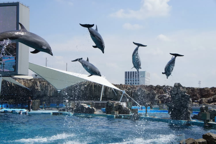 Port of Nagoya Public Aquarium