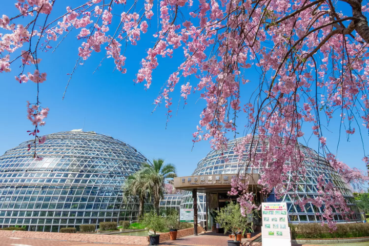 Higashiyama Fruit Park