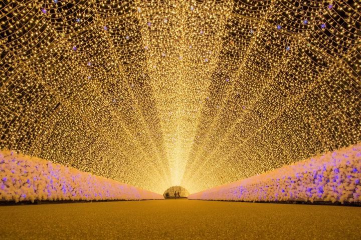 7 Unique Winter Tours and Activities in Japan