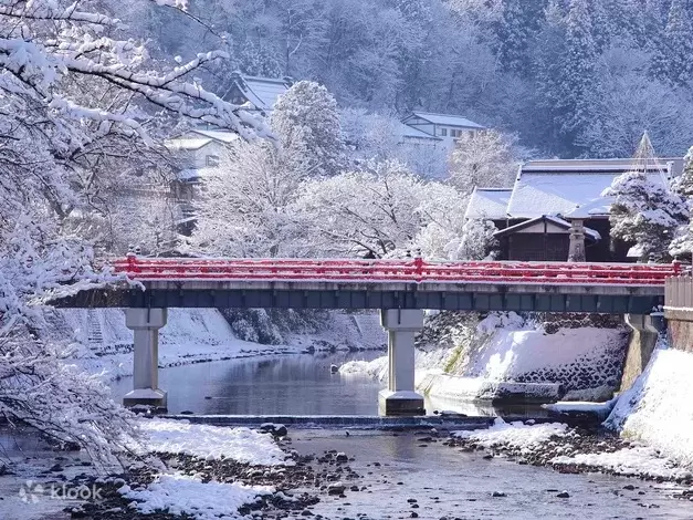 7 Unique Winter Tours and Activities in Japan