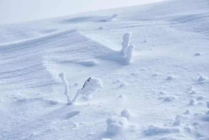 สกีรีสอร์ทฮาคุบะโนริกุระออนเซ็น | แนะนำข้อมูลพื้นฐานและเคล็ดลับเพื่อความเพลิดเพลิน