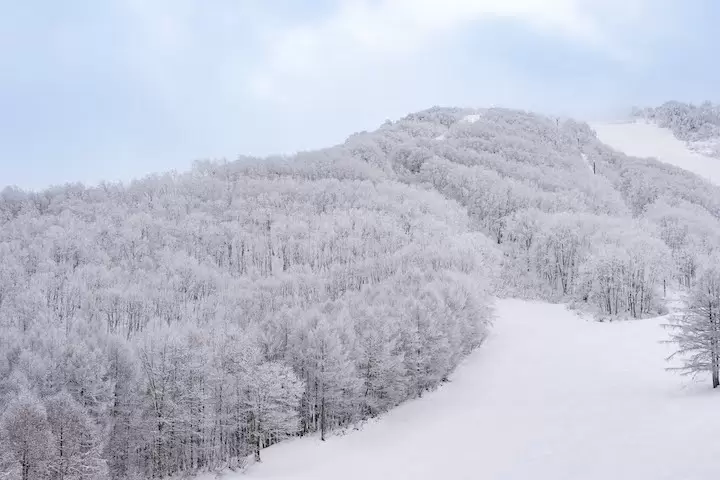 Hakuba Cortina Ski Resort | Basic information and highlights for enjoying powder snow