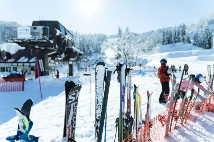 23 recommended ski resorts in Nagano Prefecture! Introducing ski resorts for different purposes such as powder snow and tree runs