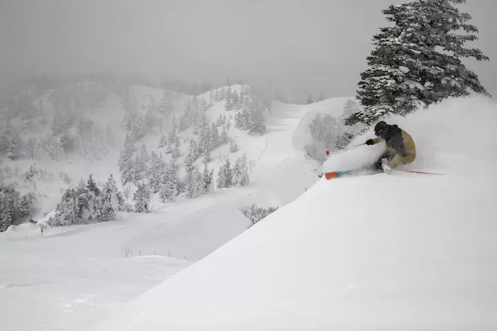 Top class in Japan! Explaining the charms and recommended courses of Shigakogen Ski Resort by area