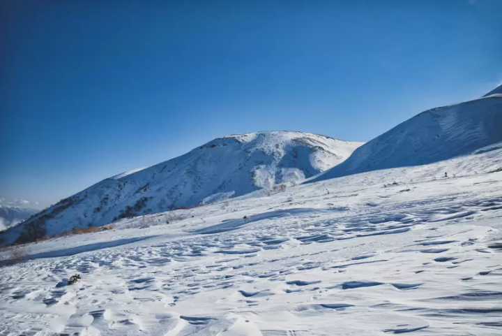 Top class in Japan! Explaining the charms and recommended courses of Shigakogen Ski Resort by area