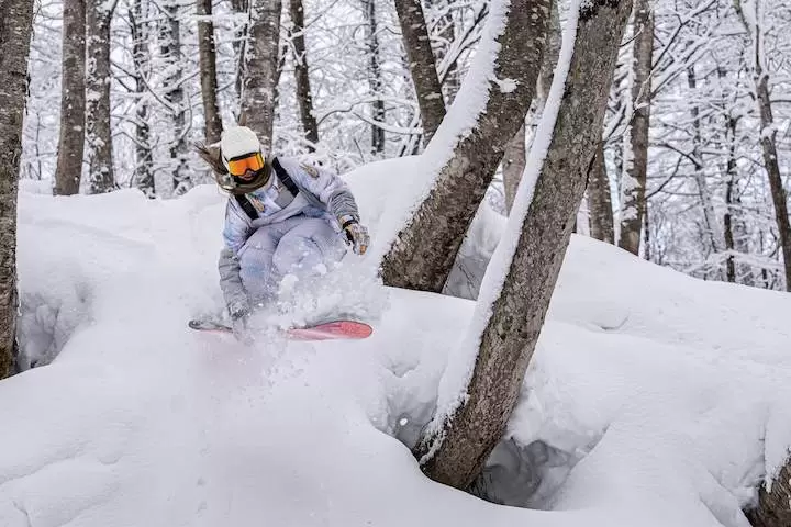 Let's go on a tree run in Japan! A complete guide to the attractions and safe ski resorts