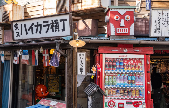 Shibamata, A Retro Town Bursting with Nostalgic Charm and Tranquil Nature