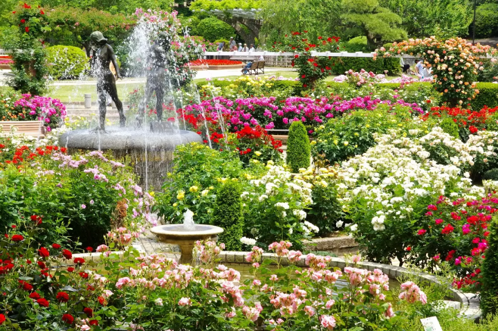 Shibamata, A Retro Town Bursting with Nostalgic Charm and Tranquil Nature