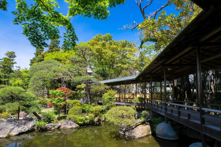 Shibamata, A Retro Town Bursting with Nostalgic Charm and Tranquil Nature