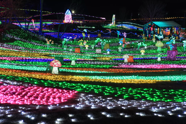 イルミネーションにスケート。日本のクリスマスの過ごし方3選【2023-24年版】