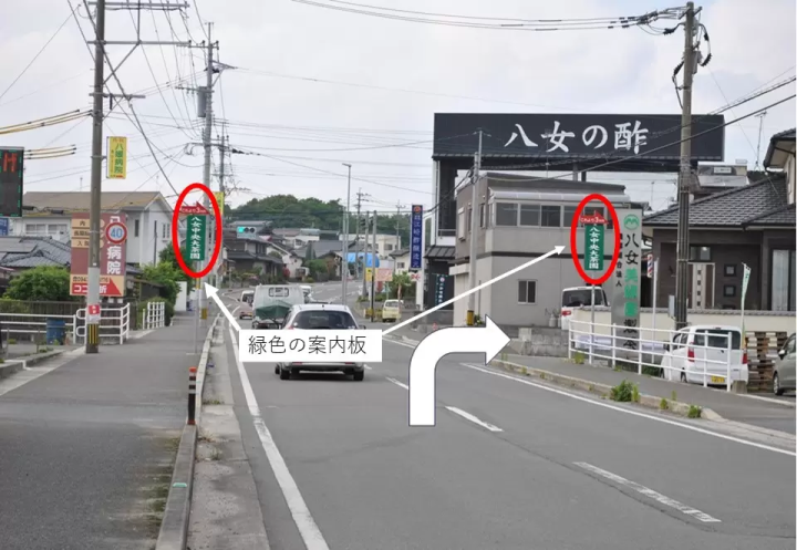 【Fukuoka Yame】Yame, famous for Yame green tea, one of the best Japanese tea brands ! Go for a drive to Yame Central Tea Plantation, a splendid green tea carpets !