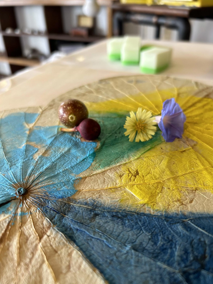 Botany painting and plants in the town 