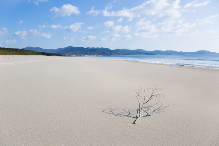 “คนสำคัญ” สำหรับคุณคือใคร?