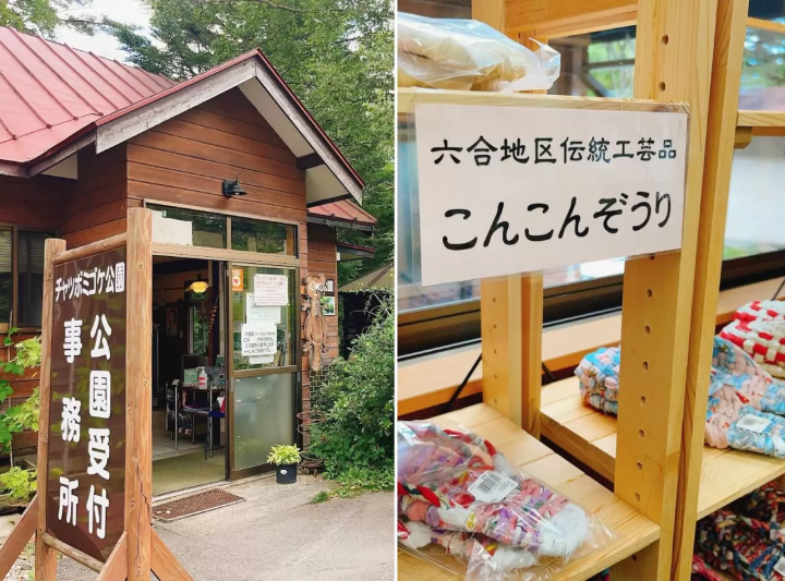 溫泉區成簇生長的稀有苔蘚！群馬縣“茶壺禦華公園”