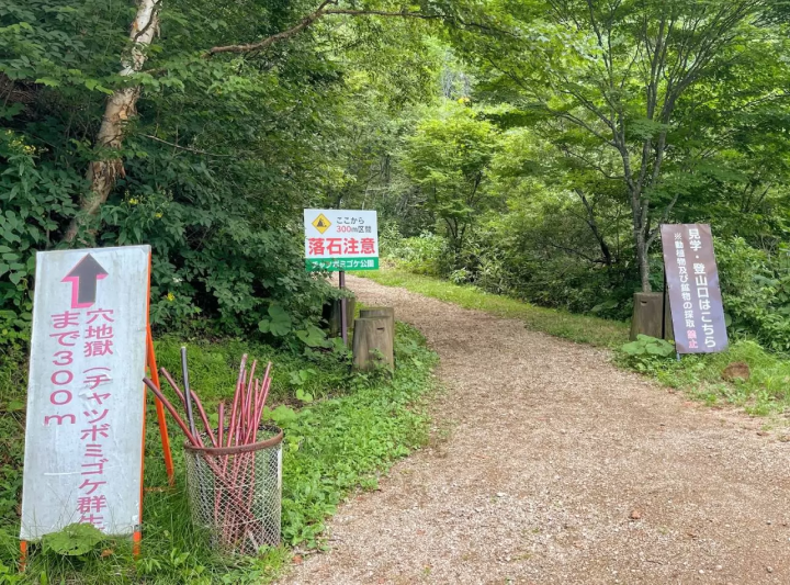溫泉區成簇生長的稀有苔蘚！群馬縣“茶壺禦華公園”