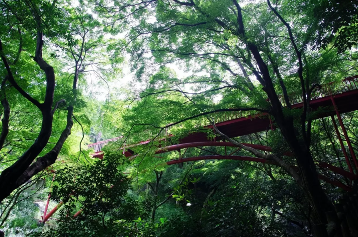 หนึ่งในถนนที่โหดที่สุดในญี่ปุ่น | เดินผ่านหุบเขาอันมืดมิดในฮิกาชิโอซากะ