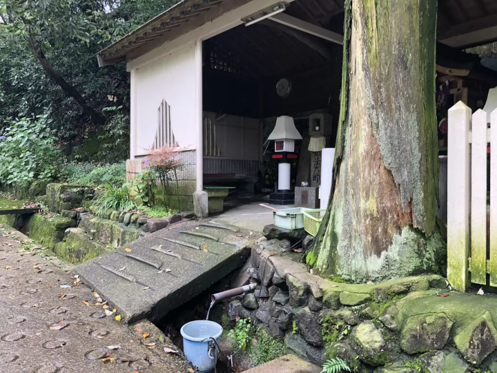 หนึ่งในถนนที่โหดที่สุดในญี่ปุ่น | เดินผ่านหุบเขาอันมืดมิดในฮิกาชิโอซากะ