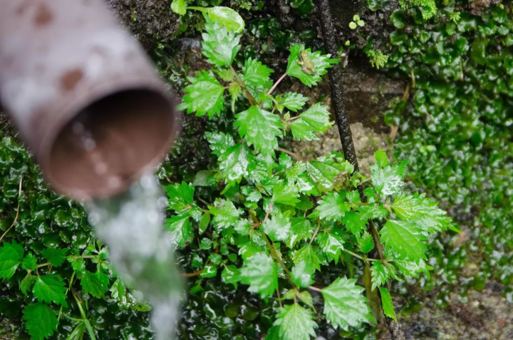 หนึ่งในถนนที่โหดที่สุดในญี่ปุ่น | เดินผ่านหุบเขาอันมืดมิดในฮิกาชิโอซากะ