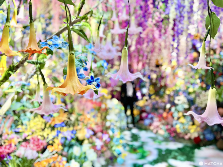 蜷川實花 Eternity in a Moment 瞬間中的永恆 4