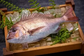 2024년 3월 16일 호쿠리쿠 신칸센 가나자와~쓰루가마 개업! 후쿠이현 쓰루가의 추천 로컬 음식~응과 16선