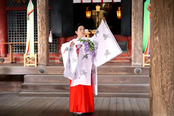 被优美的舞蹈所吸引。差点错过拍照机会 