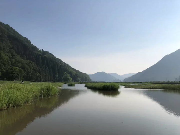 커플의 황새를 만날 수 있을지도!