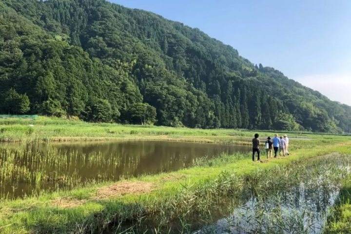 커플의 황새를 만날 수 있을지도!