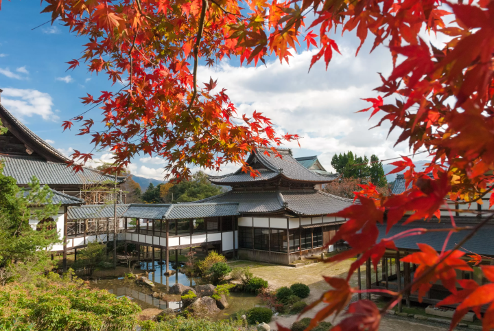 2024년 3월 16일 호쿠리쿠 신칸센 가나자와~쓰루가마 개업! 후쿠이현・쓰루가의 추천 관광 명소 15선!