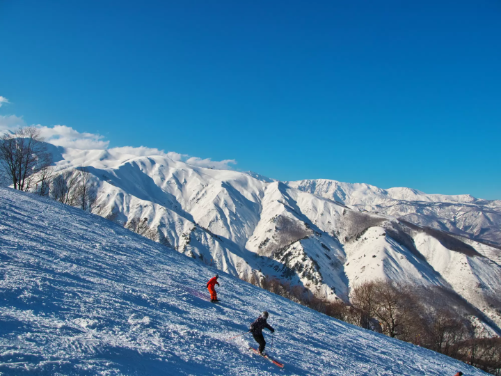 【2023~2024年】白馬のオススメスキー場8選。アクセス、営業期間まとめ