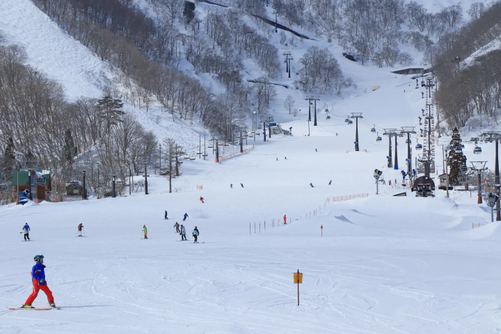 【2023~2024年】白馬のオススメスキー場8選。アクセス、営業期間まとめ