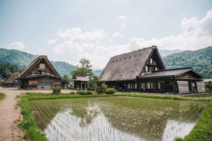 ภาพถ่ายโดยเคโกะ 