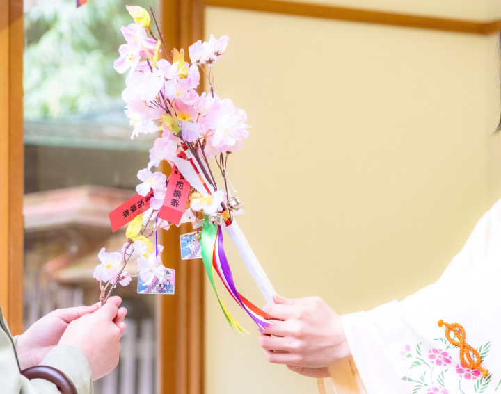 2024년 3월 16일 호쿠리쿠 신칸센 가나자와～쓰루가마 개업! 쓰루가의 벚꽃 명소 · 가나자키 미야 로맨틱 한 꽃 축제