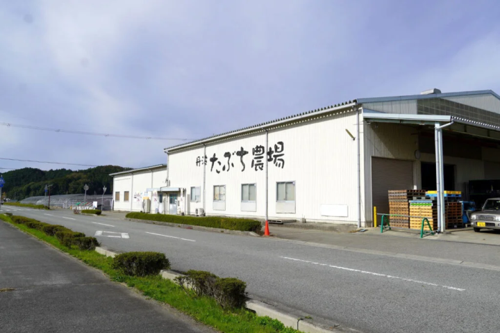 【丹波篠山市】在農家享受黑毛豆、草莓、豆子的美味