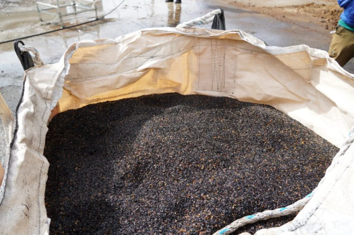 自製稻殼炭完成 