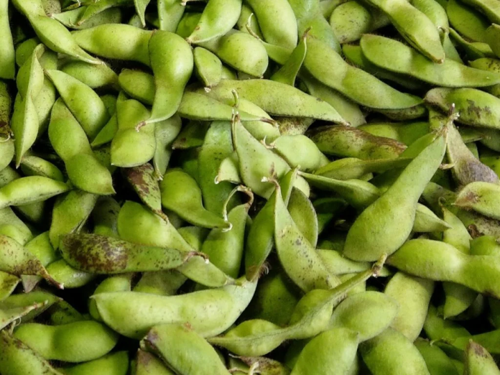 照片提供：“丹波田淵農場” 