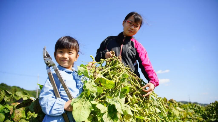 照片提供：“丹波田淵農場” 