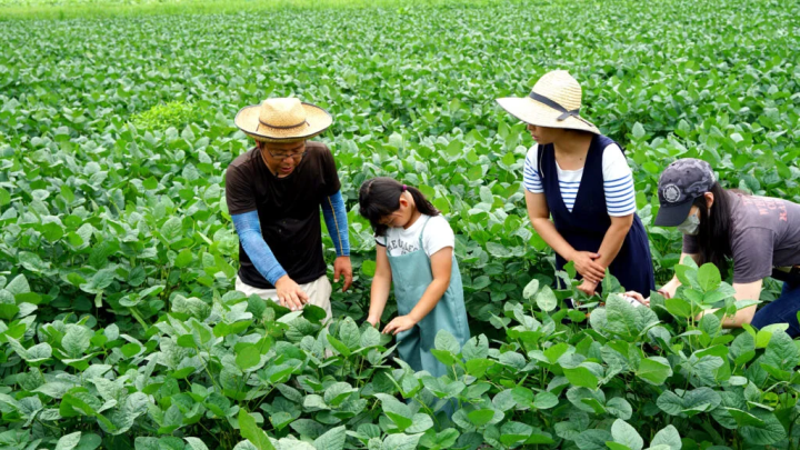 照片提供：“丹波田淵農場” 