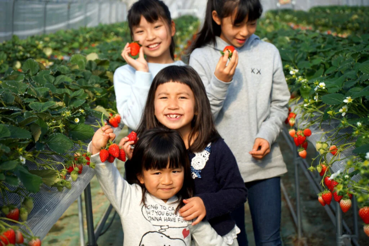 照片提供：“丹波田淵農場” 