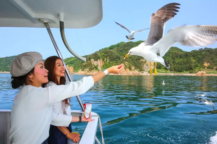 [About 3 hours from Tokyo] 5 things to do in Murakami City, Niigata Prefecture