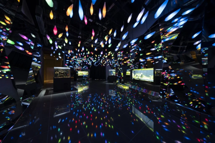 照片提供者：``átoa'' 