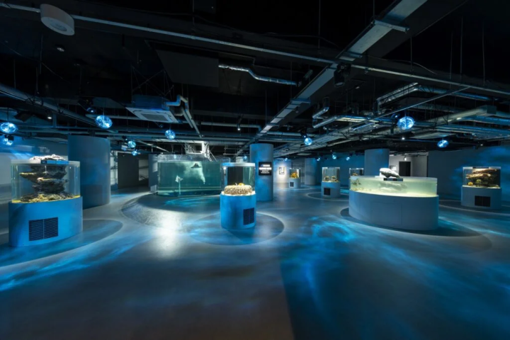 照片提供者：``átoa'' 