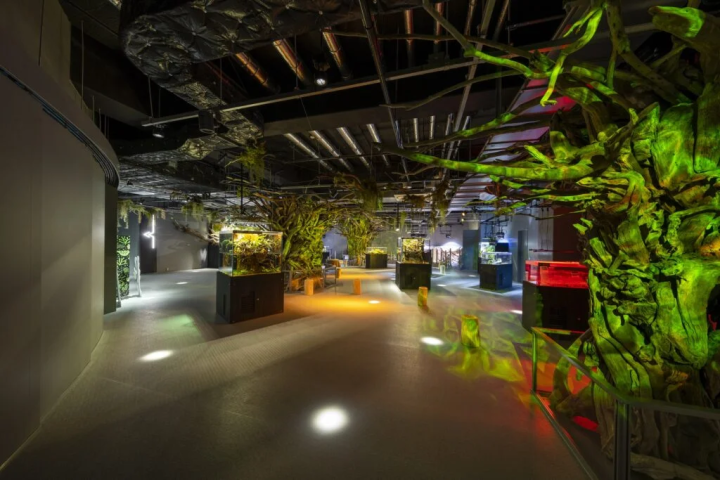 照片提供者：``átoa'' 