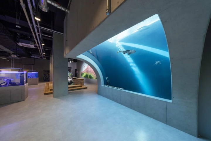 照片提供者：``átoa'' 